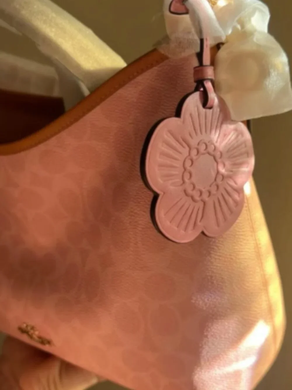 Coach Pink Signature Canvas Hobo Shoulder Bag